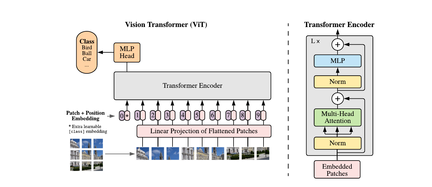Vision Transformer의 patch embedding과 encoder 구조